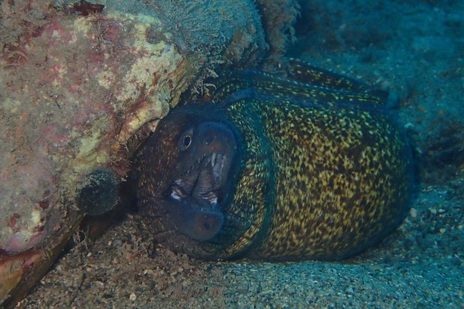 Scuba Diving Experience in Taormina