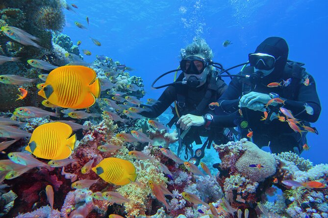 Scuba Diving Private Tour in Martinique