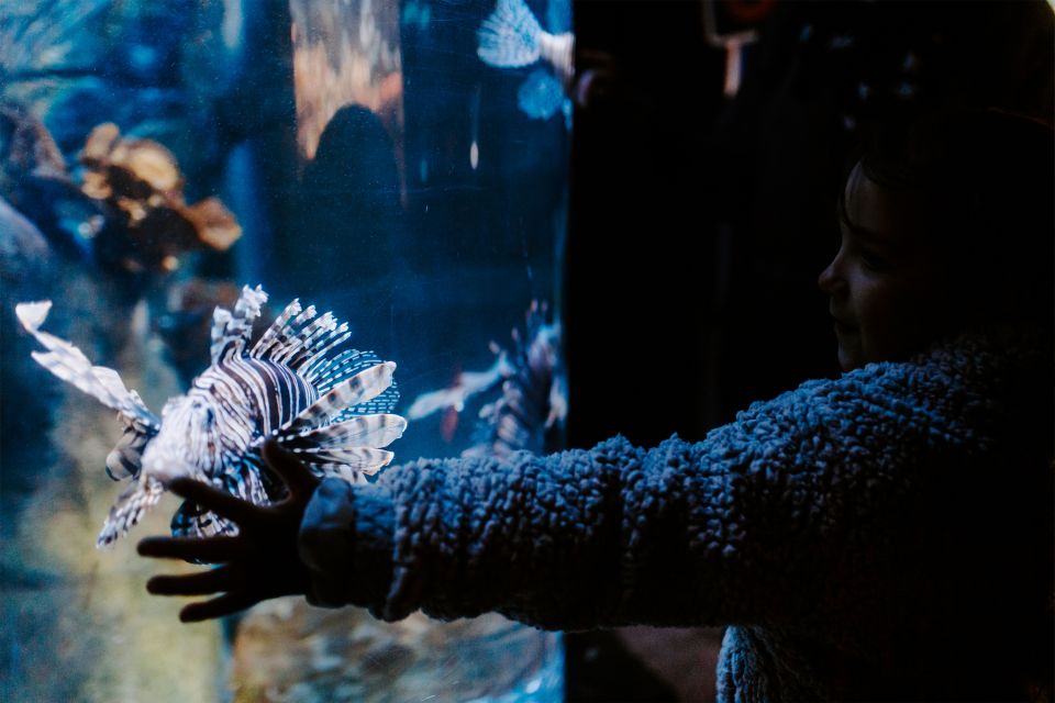 Sea Life Weymouth Admission Ticket - Ticket Pricing and Cancellation