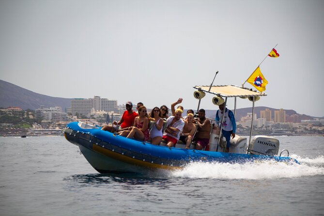 SEA SAFARI Dolphins,Whales, Snorkeling, Snack, Drink, 3h Private