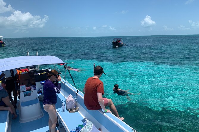 Second Largest Barrier Reef Adventure Snorkeling - Inclusions and Transportation