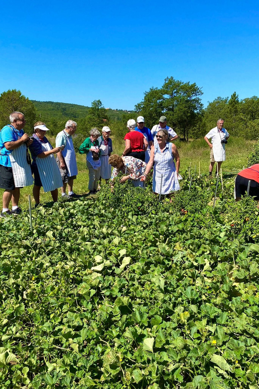 Secrets of Traditional Dalmatian Cuisine With Cooking Class
