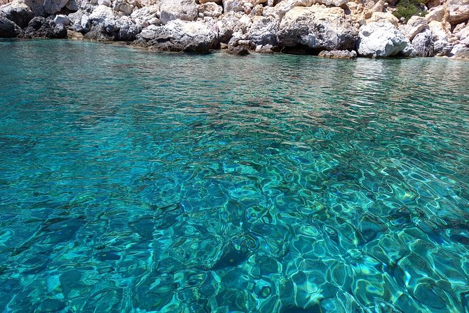 Semi Private Morning Cruise From Pollonia to Polyaigos