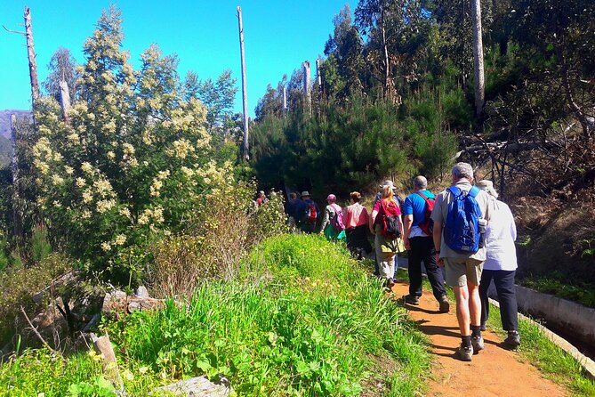 Serra D’Água Valley – Levada Walk