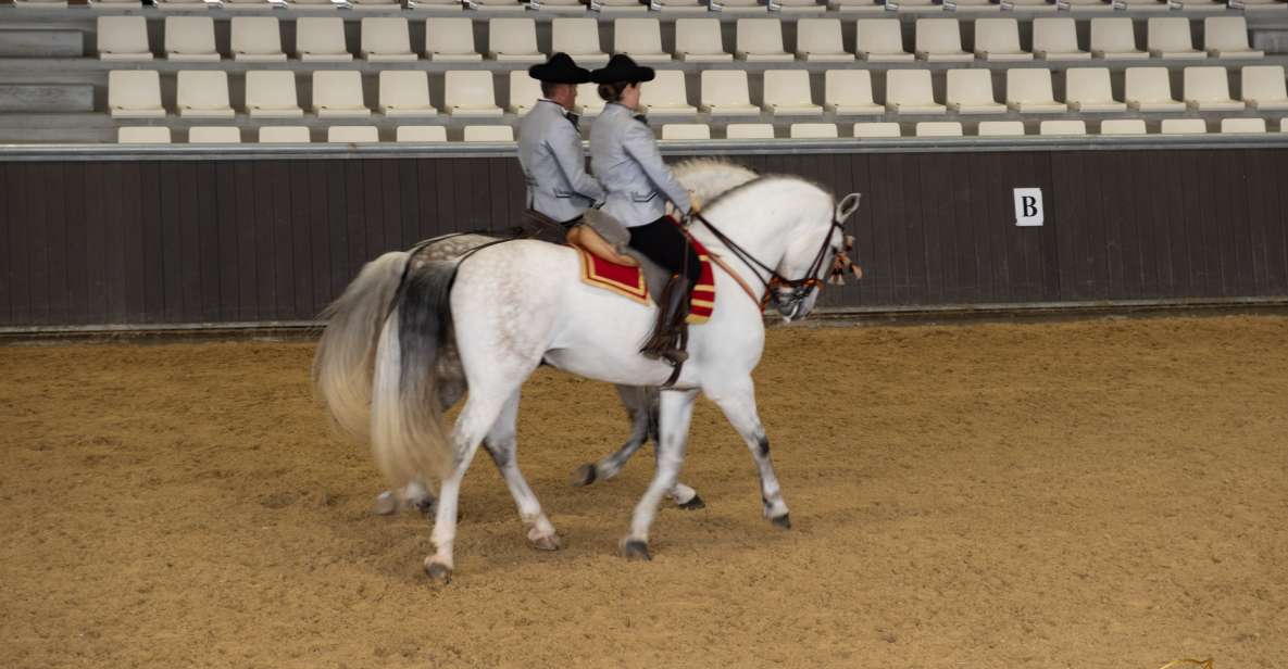 Seville: Horse Show Entry Ticket. Optional Stud Farm Visit - Ticket Information and Pricing