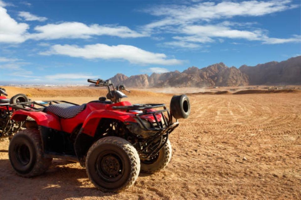 Sharm: ATV Safari, Horse Ride & Camel Ride With Breakfast - Activity Overview and Pricing