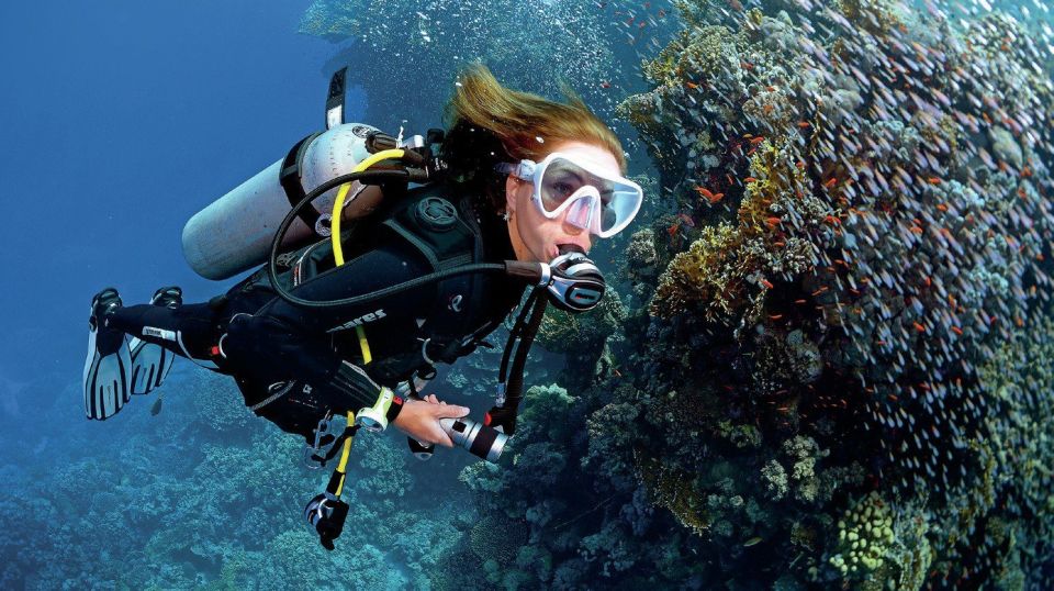 Sharm El Sheikh: Diving Day Trip by Boat at Ras Mohamed - Tour Overview and Pricing