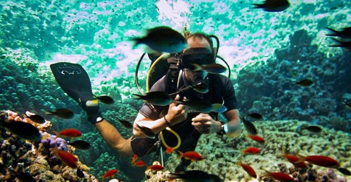 Sharm El Sheikh: Ras Mohamed, White Island, Snorkel & Diving - Overview of Ras Mohamed