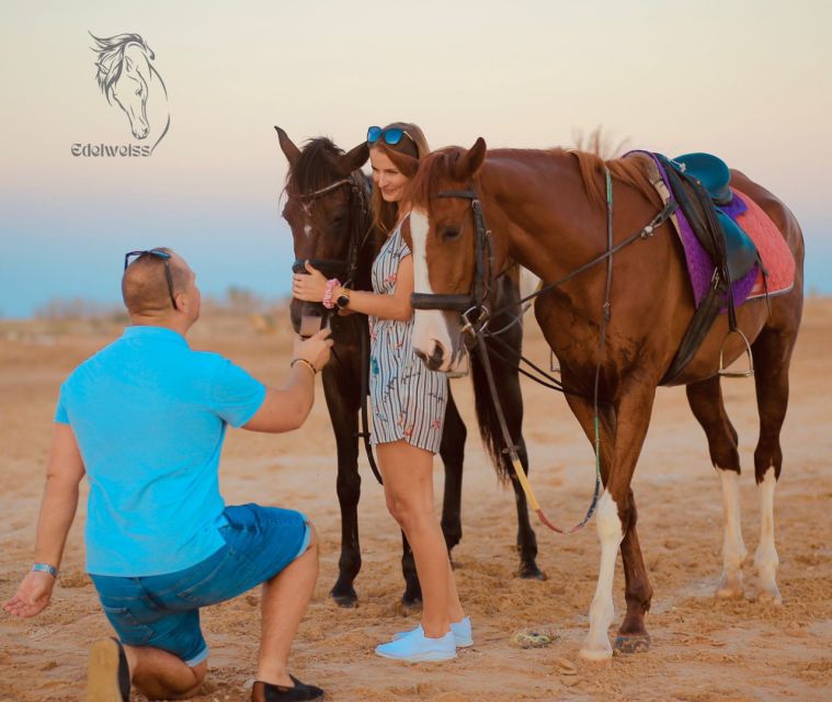 Sharm El Shiekh: Beach and Desert Horse Riding Tour - Tour Overview