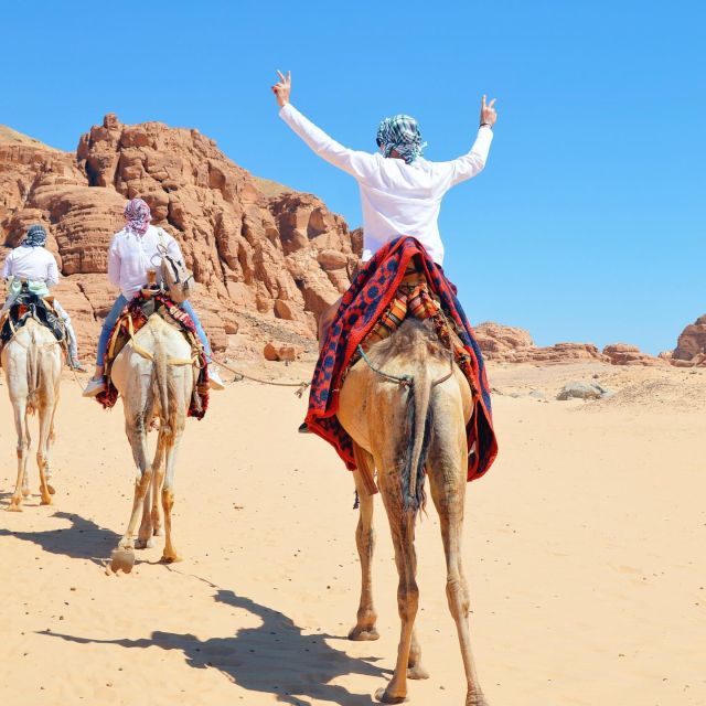 Sharm: Water Sports Adventure Day With Hotel Transfer - Overview of the Adventure