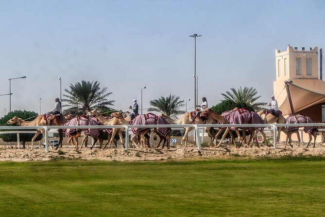 Sheikh Faisal, Camel Race Track Visit