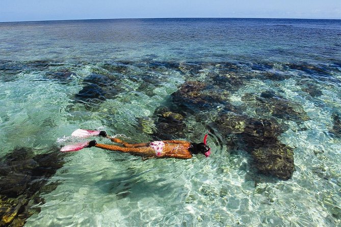 Shore Excursion: Roatan Horseback Ride and West Bay Beach Break