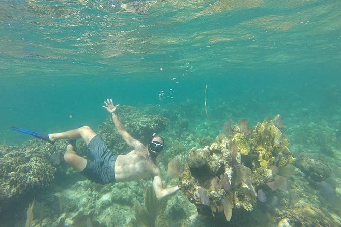 Shore Excursion: Roatan on the Wild-side and Snorkel