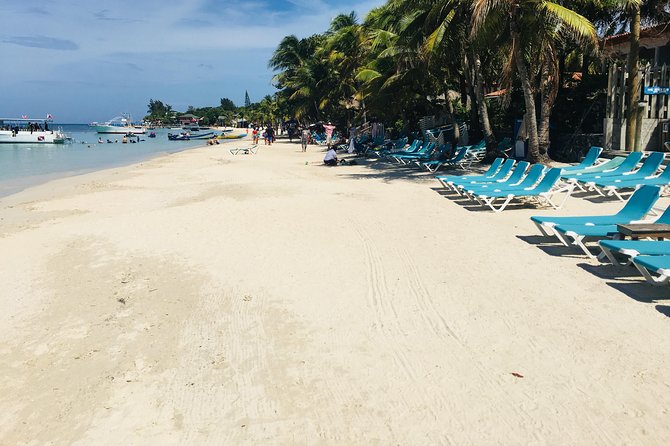 Shore Excursion: Wildlife Eco-Park With Chocolate and Rum Tasting - Transportation and Meeting Details