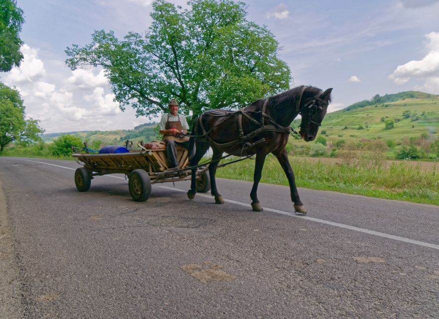 Sibiu: Guided Highlights E-bike Tour - Tour Overview and Pricing