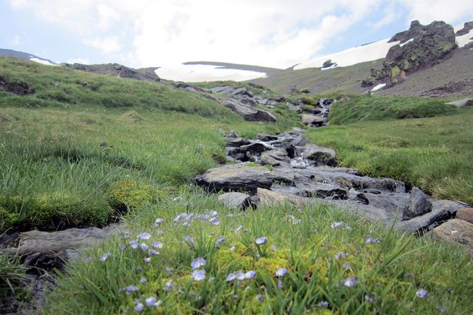 Sierra Nevada Day Trip From Granada. Small Group up to 8 Pax