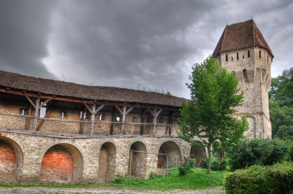 Sighisoara: City Walking Tour and Dracula House Visit - Overview of the Walking Tour