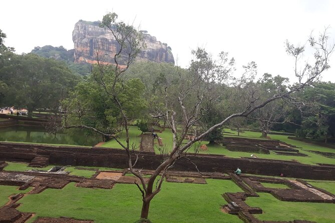 Sigiriya, Dambulla and Minneriya National Park Private Tour In