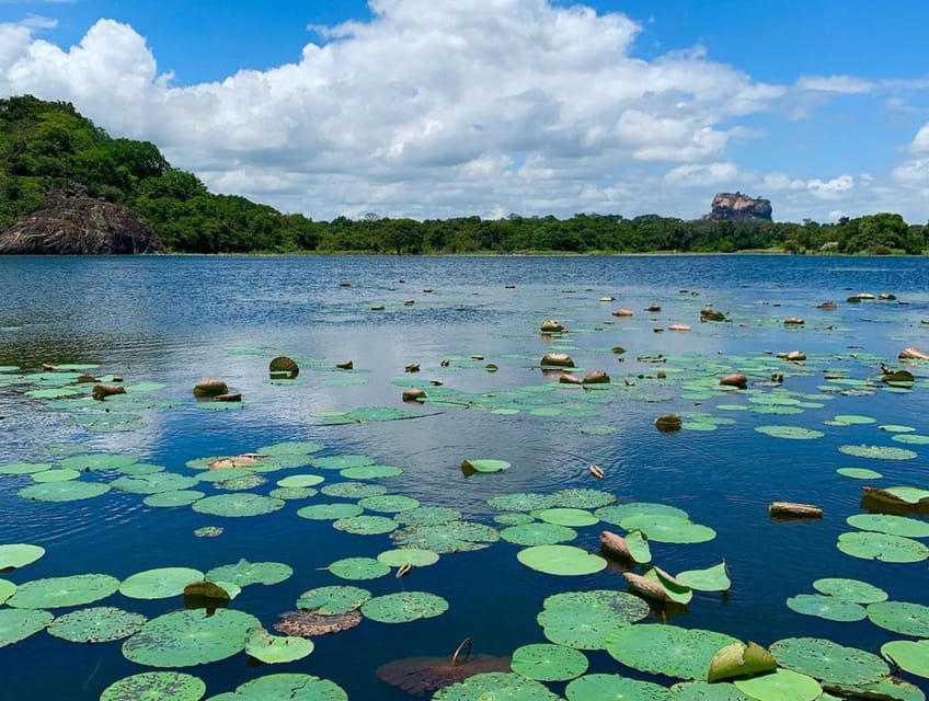 Sigiriya:Traditional Village Experience With Authentic Lunch - Experience Overview