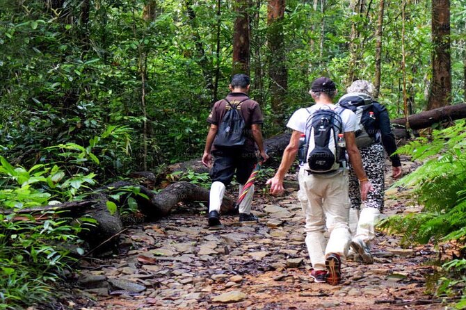 Sinharaja Trekking Trip From Bentota/Kalutara/Hikkaduwa/Galle
