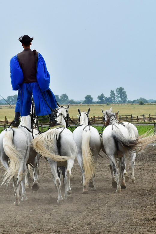 Sissy Palace Tour - Optional Hungarian Horse Show and Lunch - Tour Highlights