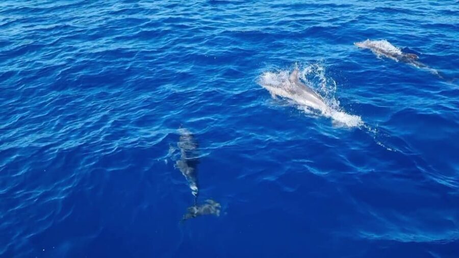 Skiathos Private Tours :Sailing Day With Lunch on Board,