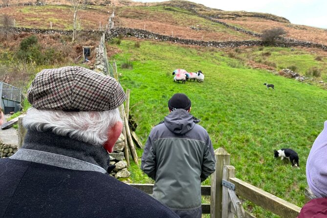 Small Group Aughnanure Castle, Sheepdog Demo & Connemara Tour