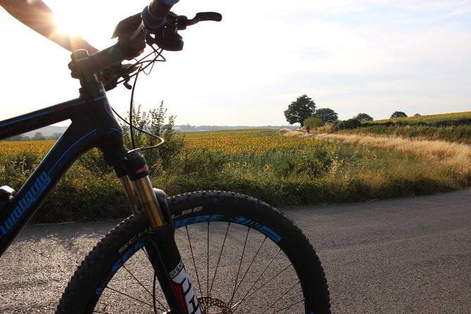 Small Group E-Bike Chianti Tour With Farm Lunch From Siena
