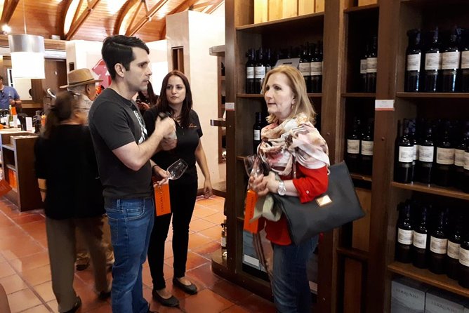 Small-Group Half-Day Concha Y Toro Vineyard Tour With Transportation - Tour Itinerary and Highlights