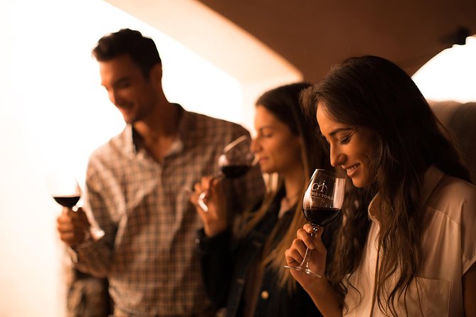 Small-Group Half Day Tour to Concha Y Toro Winery