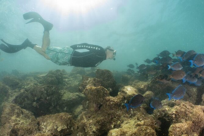 Small-Group Snorkeling Boat Trip in Guánica, Puerto Rico
