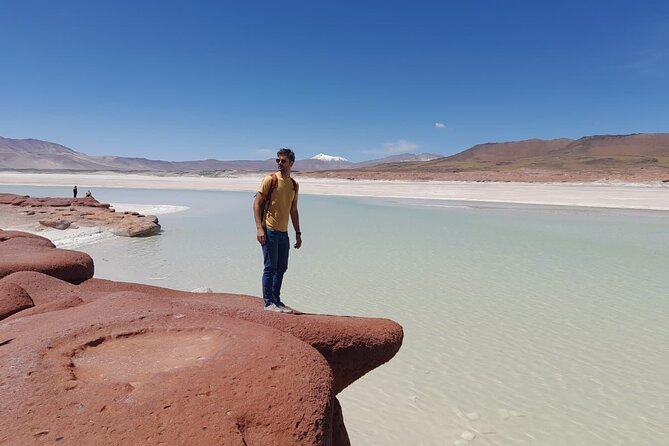 Small-Group Tour Altiplanic Lagoons Red Stones & Flamingo Reserve