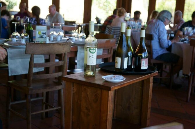 Small-Group Tour at Matetic Vineyard in Rosario Valley From Santiago