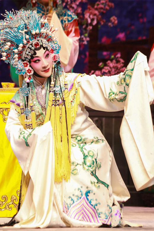 Small Group Tour Of Acrobatics Show And Peking Opera Show - Tour Overview