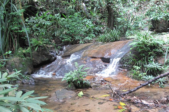 Small Group : Trekking Trip in Chiang Mai (Doi Suthep Area) With Market Tour