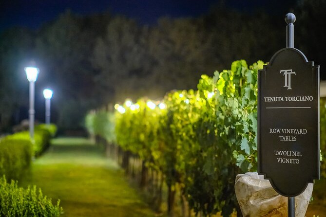 Small-Group Winery Tour With Tasting and Dinner in Chianti Vineyards