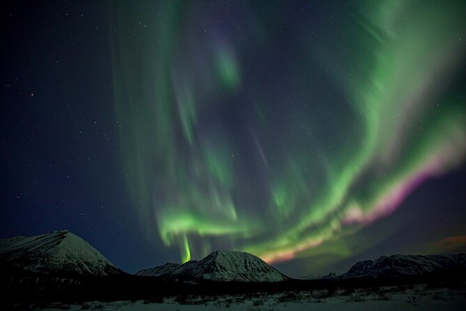Small Group Yukon Aurora Viewing