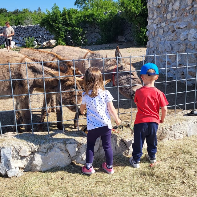 Šmrika (near Rijeka/Krk/Crikvenica) Donkey Farm Entry Ticket - Ticket Information and Pricing