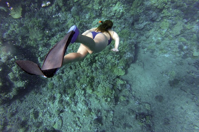 Snorkeling Adventure in Athenian Riviera