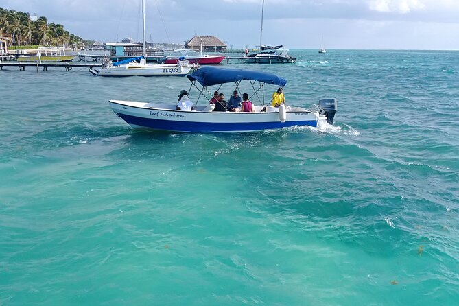 Snorkeling at Hol Chan Marine Reserve & Shark Ray Alley (3.0 Hrs) - Tour Overview and Highlights