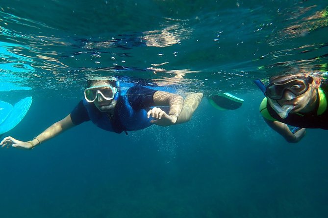 Snorkeling Excursion in Tabarca Island