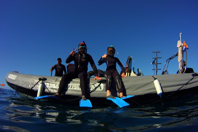 Snorkeling Tour With Sea Turtles and Stingrays - Inclusions