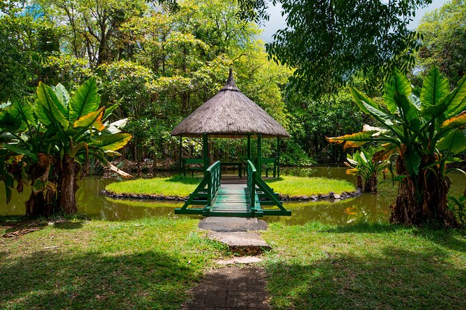 Snorkeling With Giant Turtles, the Red Church, Pamplemousses Garden & Port Louis