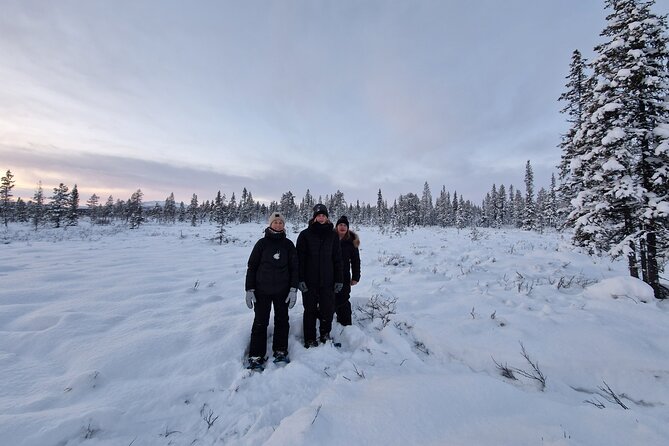 Snowshoe in a Winter Forest