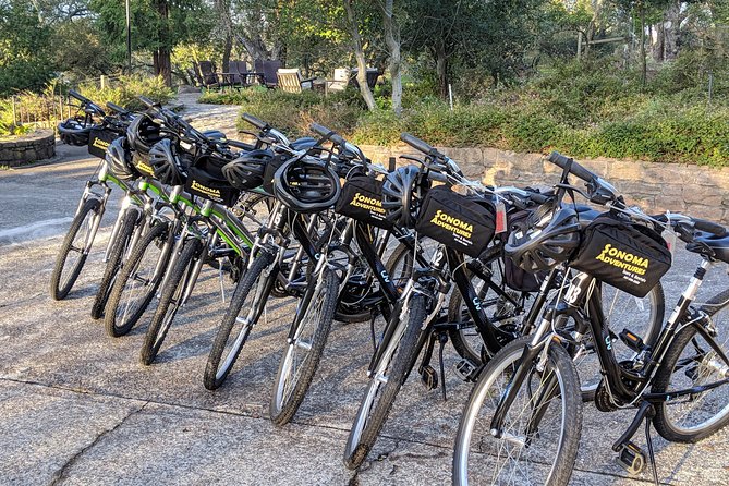 Sonoma Valley Pedal Assist Bike Tour