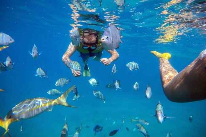 2 Best Cruises And Boat Tours In Cabarete