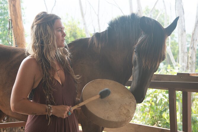 Spirit of the Horse Unique Experiences With Horses