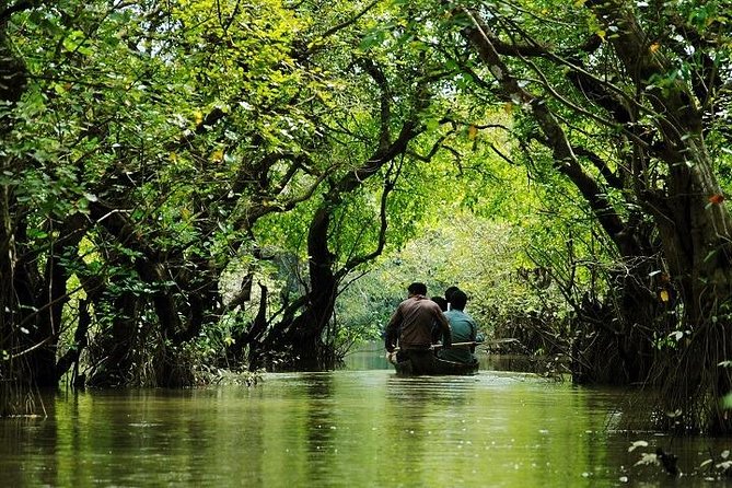 Sreemangal Tour! Sylhet, Bangladesh
