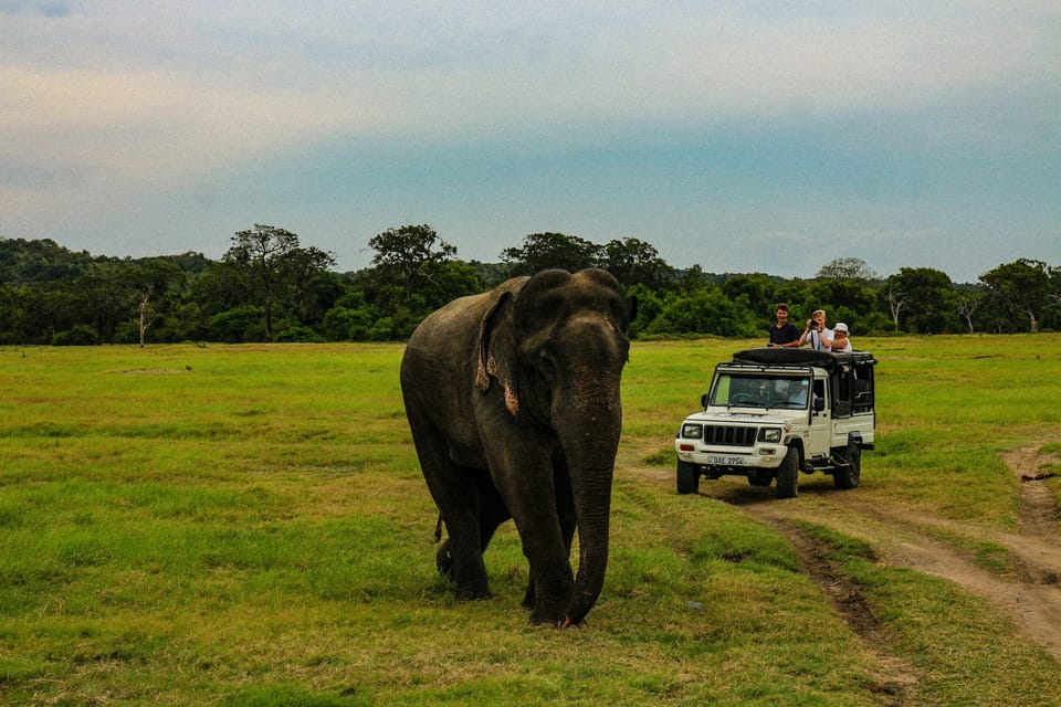 Sri Lanka Highlights: 3 Days, 2 Nights Tour Package - Tour Overview and Pricing