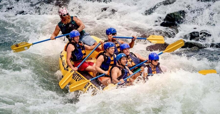 Srilanka, Kitulgala: Day Tour With Airport Transfer